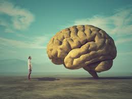 Man Brain